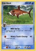 Cow Shark
