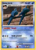 funny birds