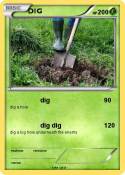 DIG