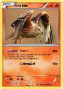 Red Kite