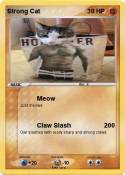Strong Cat