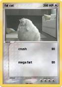 fat cat
