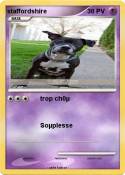 staffordshire