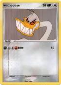 wild goose