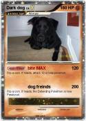 Dark dog