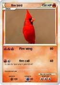 fire bird
