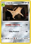 Leapcat