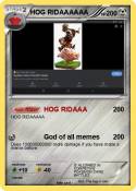 HOG RIDAAAAAA