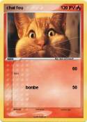 chat fou