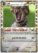 cat