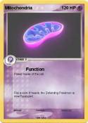 Mitochondria
