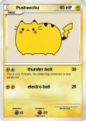 Pusheechu