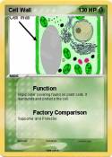 Cell Wall