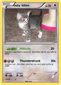 baby kitten
