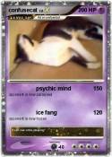 confusecat