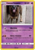 Canino Timpano