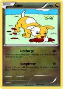 chien
