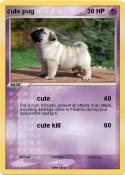 cute pug