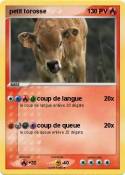 petit torosse