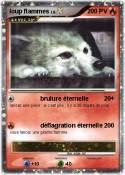 loup flammes