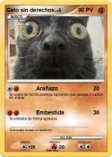 Gato sin derech
