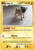 Baby pug