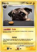 Pug