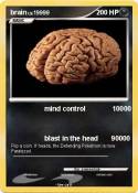 brain