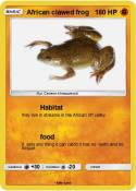 African clawed
