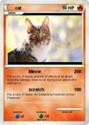 cat