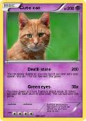 Cute cat
