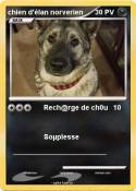 chien d'élan