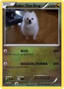 Gabe The Dog