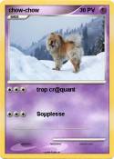 chow-chow