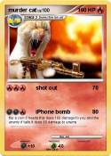murder cat