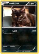 Devil's cat
