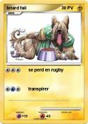 briard fail
