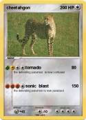 cheetahgon