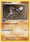 chat vs chien