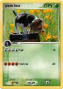 chien fleur