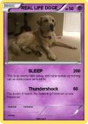 REAL LIFE DOGE