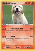 Golden Retriver