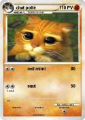 chat potté