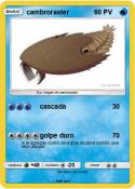 cambroraster