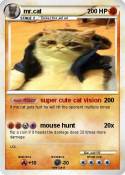 mr.cat