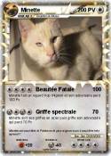 Minette