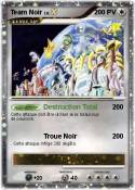 Team Noir