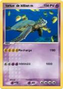  tortue de