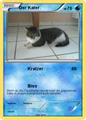 Der Kater