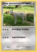 berger allemand